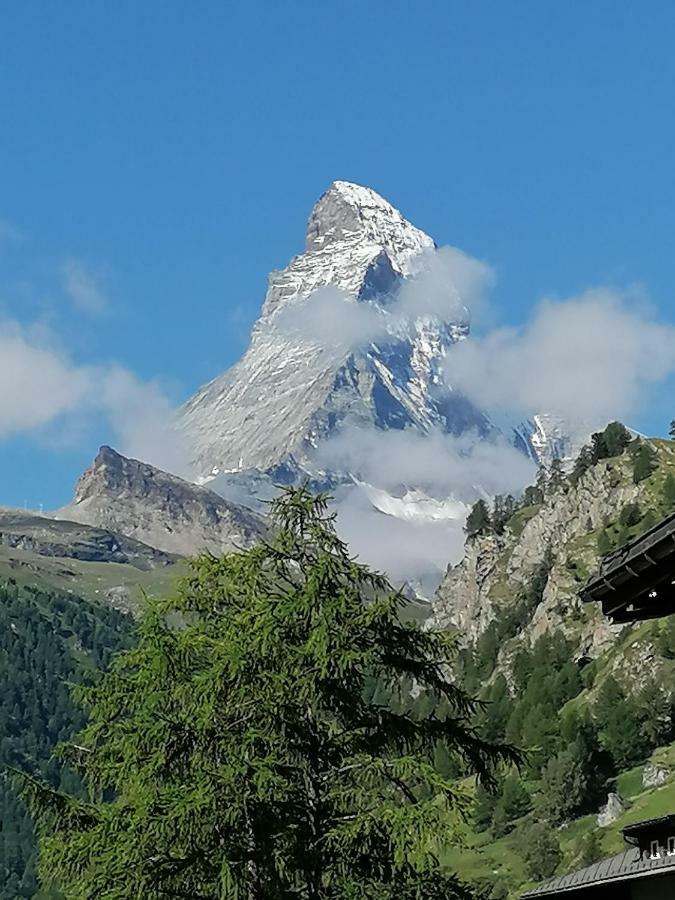 Petit Helvetia Budget Hotel Zermatt Exterior photo